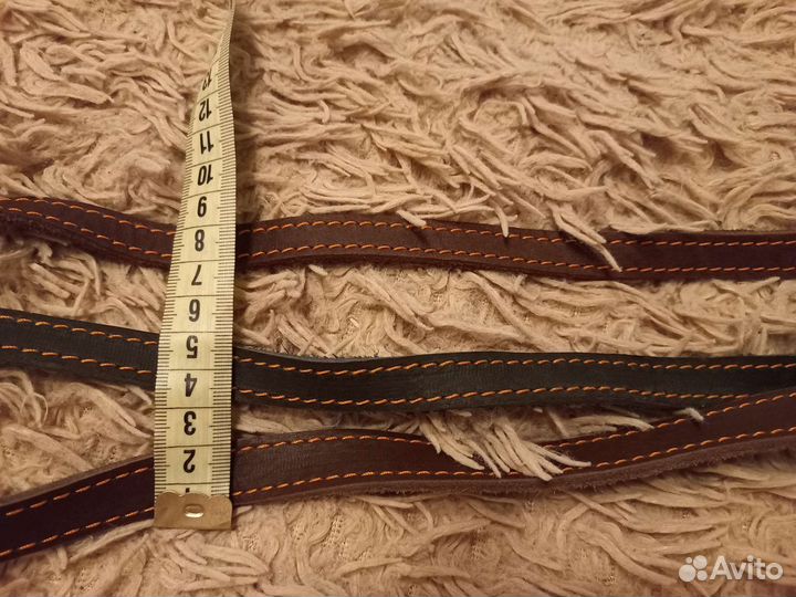 Ошейник и поводок