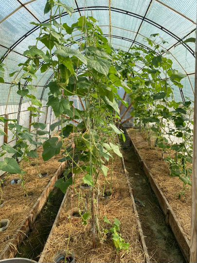 Дом 78 м² на участке 9 сот.