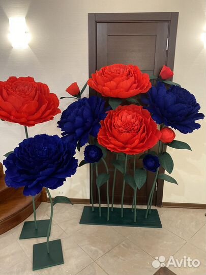 Ростовые цветы