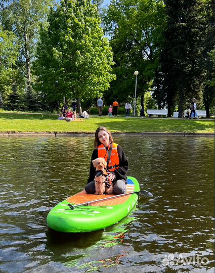 Аренда сапов