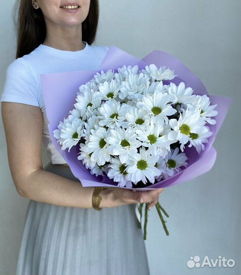 Хризантема