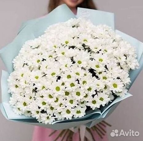 Хризантема. Букеты Цветы доставка