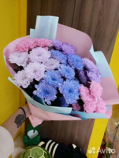 Цветы хризантемы