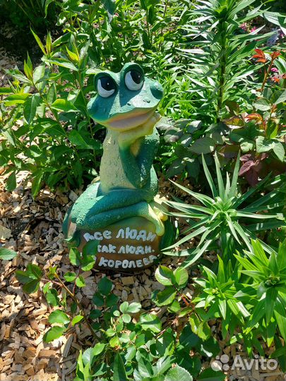 Лягушка большая