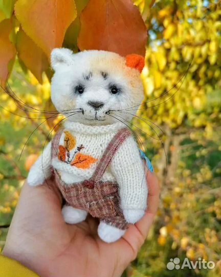 Кот Листик (Тедди)