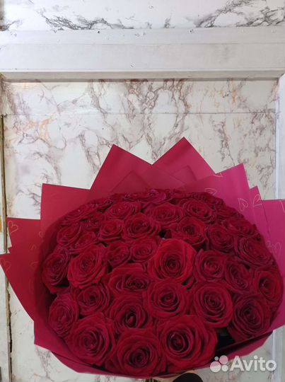 Красные Роз 51 шт