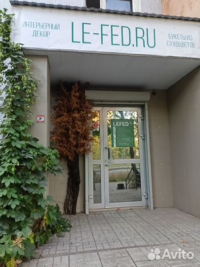 Искусственное дерево, оформление витрин и входа