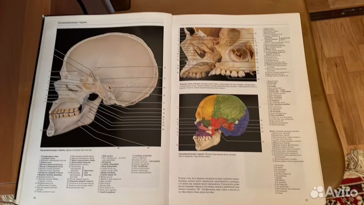 Фотографический атлас Роен, Йокочи