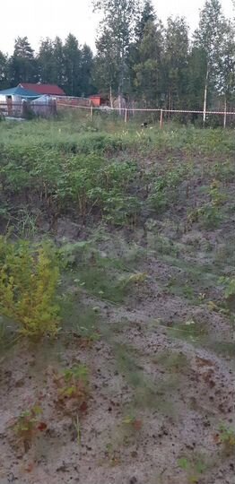Участок 5 сот. (СНТ, ДНП)