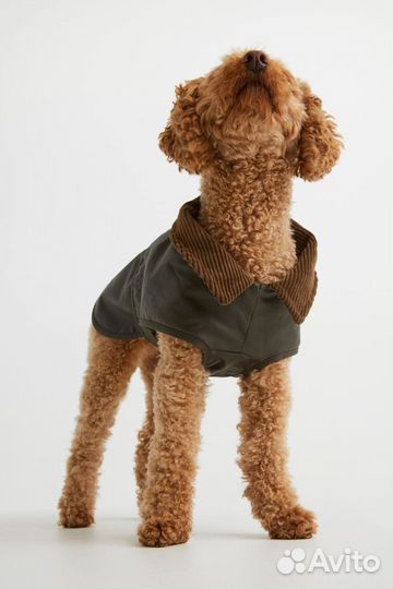 Пальто для собак