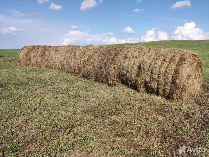 Сено в рулонах 2023