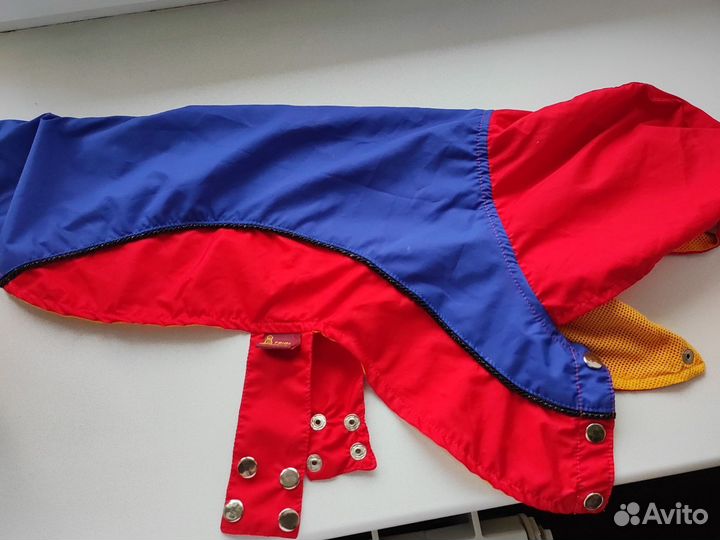 Дождевики для маленькой собаки