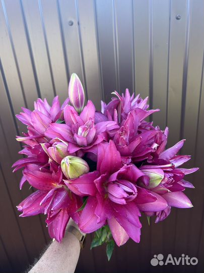 Лилии.Срезка.Букет