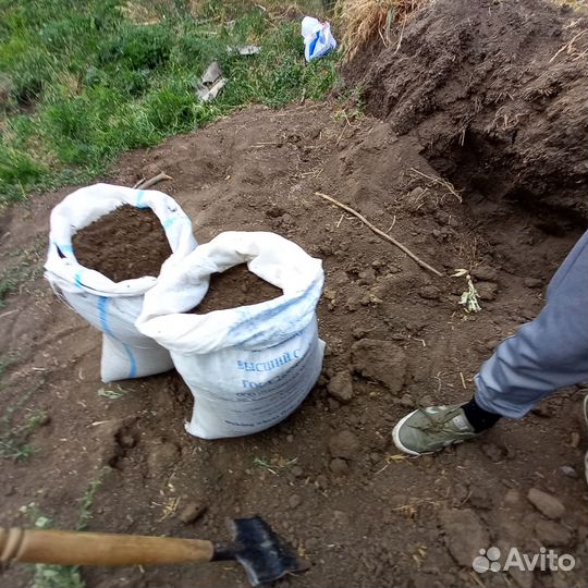 Чернозем верх срез 15см, смесь, перегной сыпец 2г