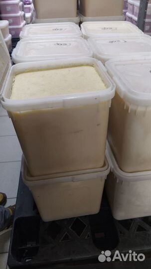 Мёд кипрейный качка 2023 год