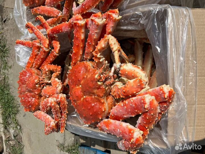 Оптом Камчатский краб