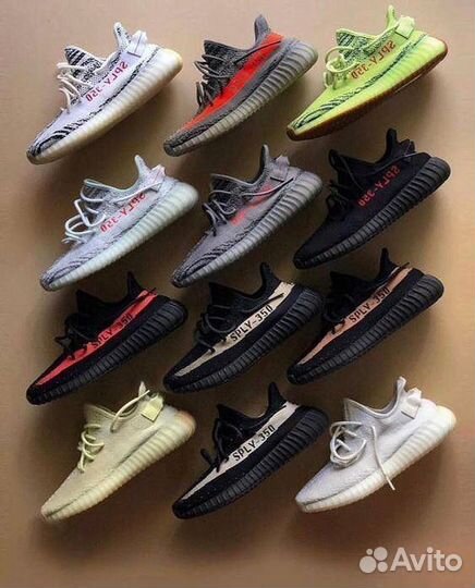 Adidas yeezy boost 350 v2