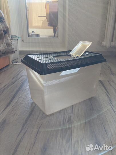 Террариум для домашних животных