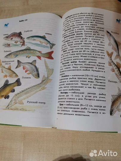 Атлас определитель от земли до неба Плешаков фгос