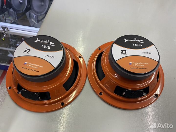 Акустика DL audio barracuda 165