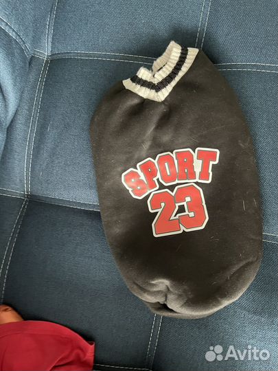 Одежда для средних собак