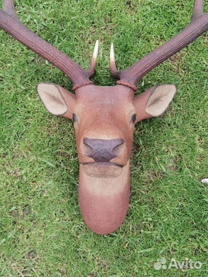 Чучело головы оленя марал