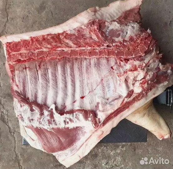 Мясо домашнее Свинина