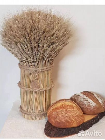 Сноп пшеницы