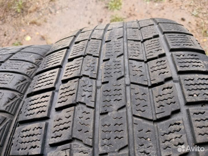 Dunlop Graspic DS2 205/55 R16