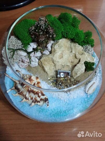 Флорариумы