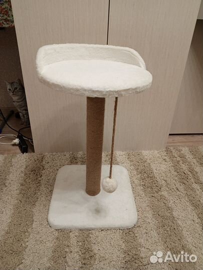 Когтеточка с лежаком