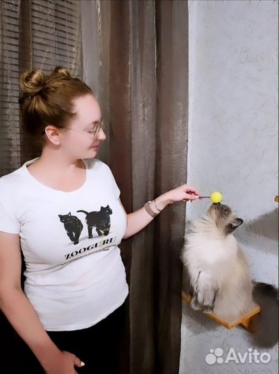 Зоопсихолог