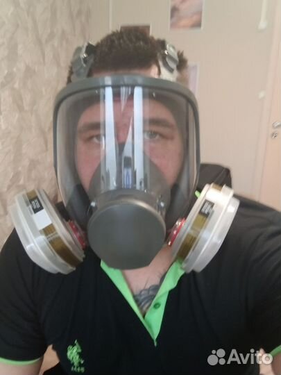 Уничтожение крыс, мышей, плесени, клопов