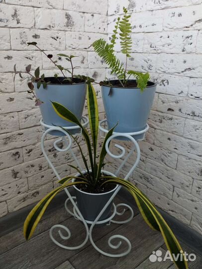 Цветочная композиция