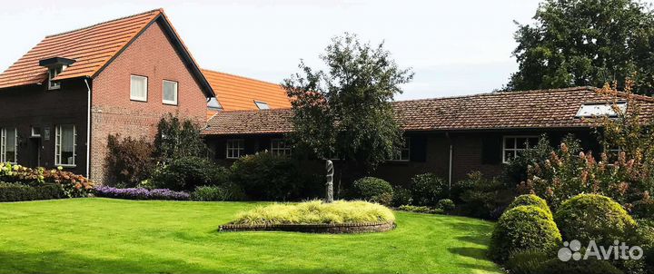 Укладка газона