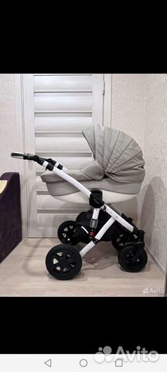Коляска 2 в 1 Adamex barletta