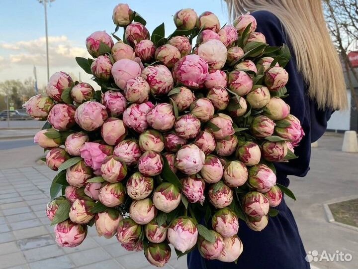 Пионы Доставка цветов букеты