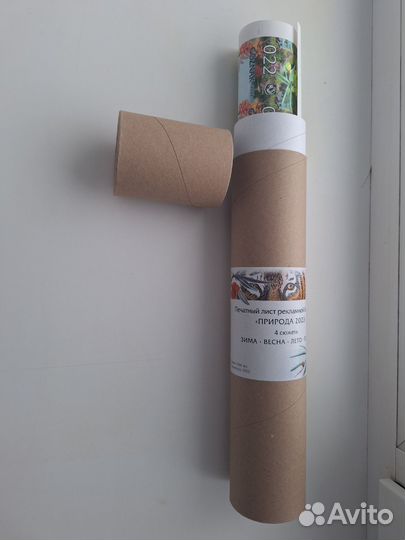 Неразрезанный лист банкнот Природа 2020 в тубусе