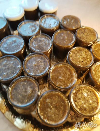 Медогон паразитарный