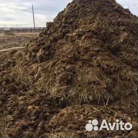 Перегной навоз