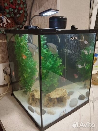 Аквариум aquael на 30 литра