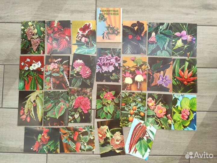 Наборы открыток 80-х Цветы