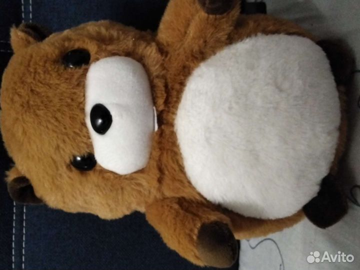 Бебра обыкновенная