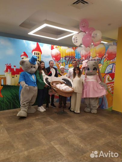 Ростовая кукла, Аниматор