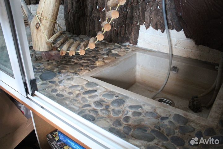 Террариум для игуаны