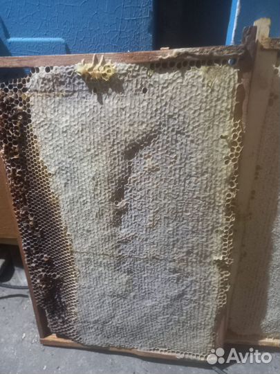 Медовые рамки