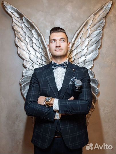 Ведущий «2в1»