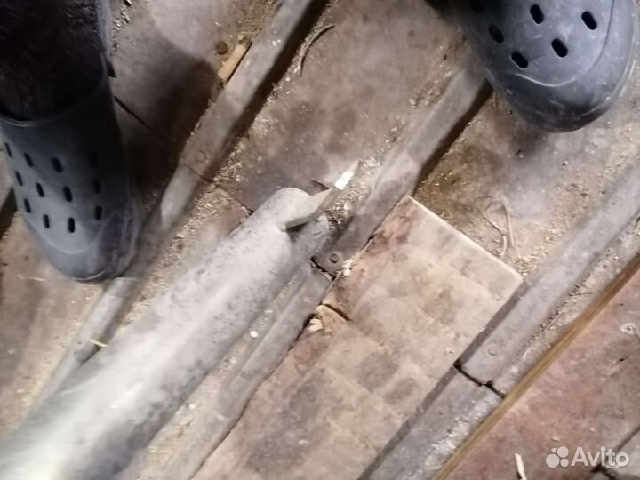 Кенгурятник прадо