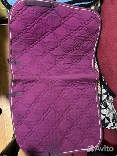 Вальтрап выездка