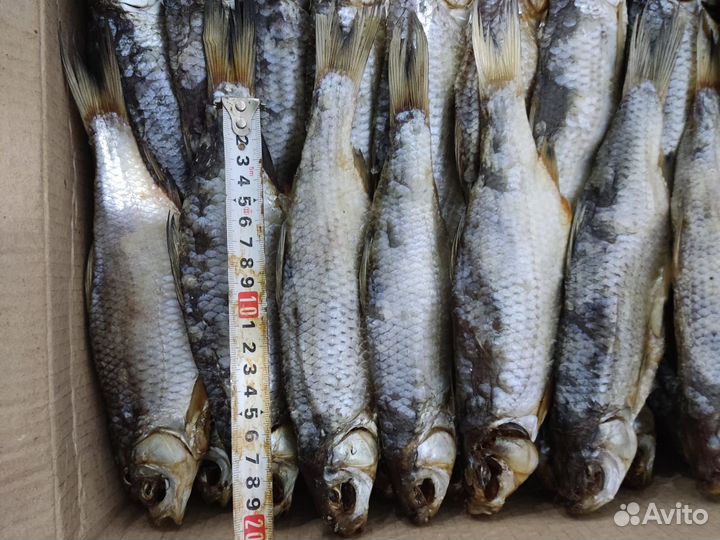 Астраханская вобла вяленая